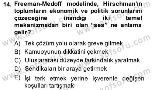 Çalışma Ekonomisi 2 Dersi 2013 - 2014 Yılı (Vize) Ara Sınav Soruları 14. Soru