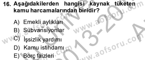 Çalışma Ekonomisi 2 Dersi 2013 - 2014 Yılı (Vize) Ara Sınav Soruları 16. Soru