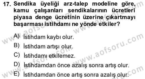 Çalışma Ekonomisi 2 Dersi 2013 - 2014 Yılı (Vize) Ara Sınav Soruları 17. Soru