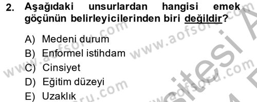 Çalışma Ekonomisi 2 Dersi 2013 - 2014 Yılı (Vize) Ara Sınav Soruları 2. Soru