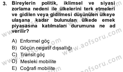 Çalışma Ekonomisi 2 Dersi 2013 - 2014 Yılı (Vize) Ara Sınav Soruları 3. Soru