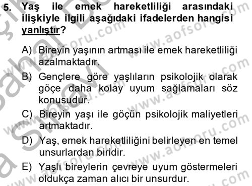 Çalışma Ekonomisi 2 Dersi 2013 - 2014 Yılı (Vize) Ara Sınav Soruları 5. Soru