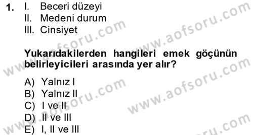 Çalışma Ekonomisi 2 Dersi 2013 - 2014 Yılı (Final) Dönem Sonu Sınav Soruları 1. Soru