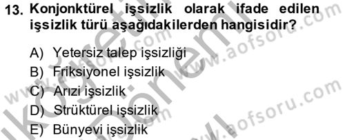 Çalışma Ekonomisi 2 Dersi 2013 - 2014 Yılı (Final) Dönem Sonu Sınav Soruları 13. Soru