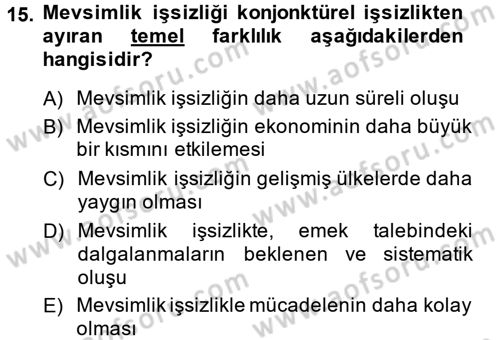 Çalışma Ekonomisi 2 Dersi 2013 - 2014 Yılı (Final) Dönem Sonu Sınav Soruları 15. Soru
