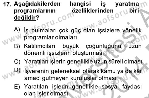 Çalışma Ekonomisi 2 Dersi 2013 - 2014 Yılı (Final) Dönem Sonu Sınav Soruları 17. Soru