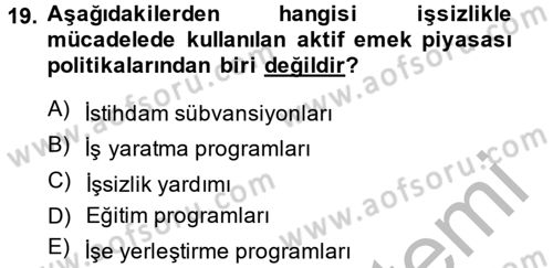 Çalışma Ekonomisi 2 Dersi 2013 - 2014 Yılı (Final) Dönem Sonu Sınav Soruları 19. Soru
