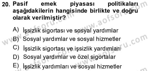 Çalışma Ekonomisi 2 Dersi 2013 - 2014 Yılı (Final) Dönem Sonu Sınav Soruları 20. Soru