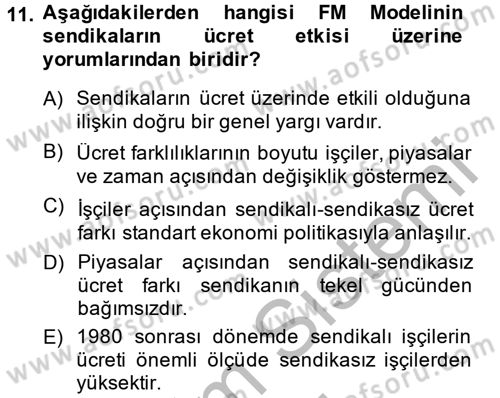 Çalışma Ekonomisi 2 Dersi 2014 - 2015 Yılı (Vize) Ara Sınav Soruları 11. Soru
