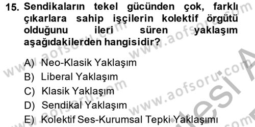 Çalışma Ekonomisi 2 Dersi 2014 - 2015 Yılı (Vize) Ara Sınav Soruları 15. Soru