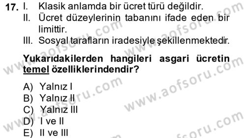 Çalışma Ekonomisi 2 Dersi 2014 - 2015 Yılı (Vize) Ara Sınav Soruları 17. Soru