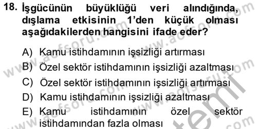 Çalışma Ekonomisi 2 Dersi 2014 - 2015 Yılı (Vize) Ara Sınav Soruları 18. Soru