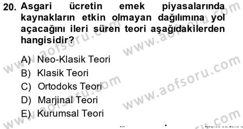 Çalışma Ekonomisi 2 Dersi 2014 - 2015 Yılı (Vize) Ara Sınav Soruları 20. Soru