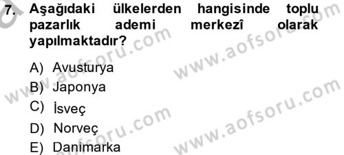 Çalışma Ekonomisi 2 Dersi 2014 - 2015 Yılı (Vize) Ara Sınav Soruları 7. Soru