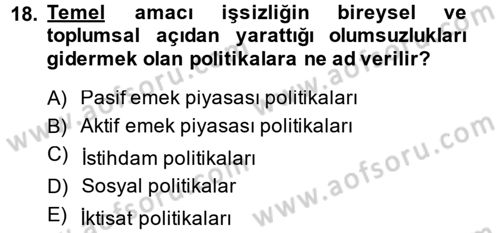 Çalışma Ekonomisi 2 Dersi 2014 - 2015 Yılı (Final) Dönem Sonu Sınav Soruları 18. Soru