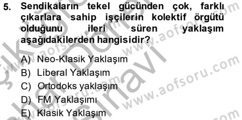 Çalışma Ekonomisi 2 Dersi 2014 - 2015 Yılı (Final) Dönem Sonu Sınav Soruları 5. Soru