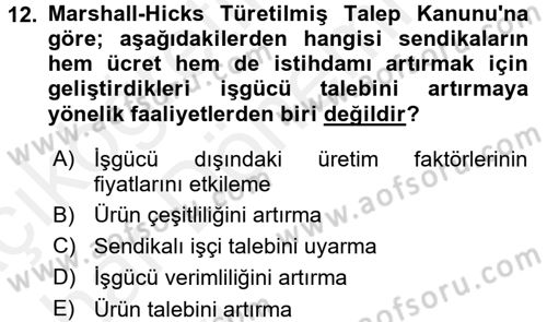 Çalışma Ekonomisi 2 Dersi 2015 - 2016 Yılı (Vize) Ara Sınav Soruları 12. Soru