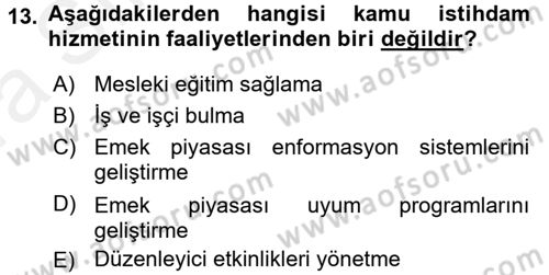 Çalışma Ekonomisi 2 Dersi 2015 - 2016 Yılı (Vize) Ara Sınav Soruları 13. Soru