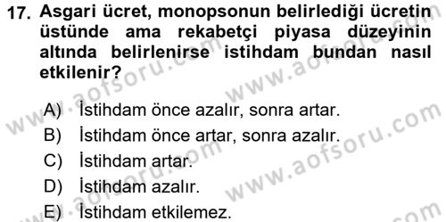 Çalışma Ekonomisi 2 Dersi 2015 - 2016 Yılı (Vize) Ara Sınav Soruları 17. Soru