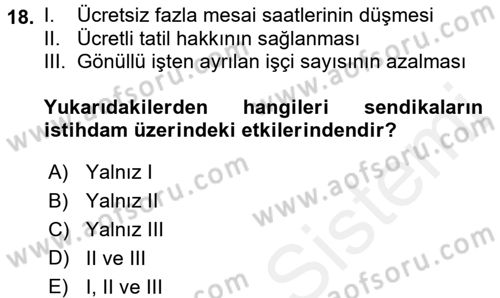Çalışma Ekonomisi 2 Dersi 2015 - 2016 Yılı (Vize) Ara Sınav Soruları 18. Soru