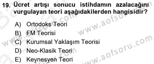 Çalışma Ekonomisi 2 Dersi 2015 - 2016 Yılı (Vize) Ara Sınav Soruları 19. Soru