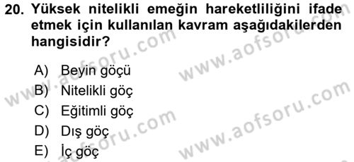 Çalışma Ekonomisi 2 Dersi 2015 - 2016 Yılı (Vize) Ara Sınav Soruları 20. Soru
