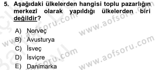 Çalışma Ekonomisi 2 Dersi 2015 - 2016 Yılı (Vize) Ara Sınav Soruları 5. Soru