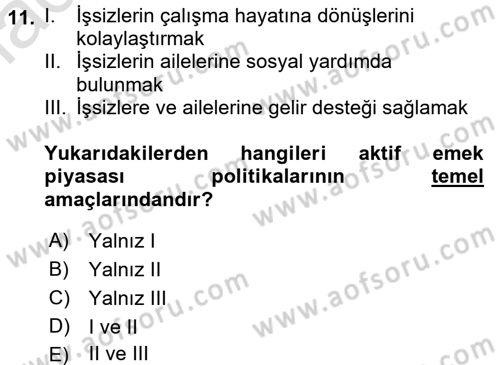 Çalışma Ekonomisi 2 Dersi 2015 - 2016 Yılı (Final) Dönem Sonu Sınav Soruları 11. Soru