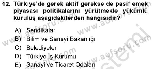Çalışma Ekonomisi 2 Dersi 2015 - 2016 Yılı (Final) Dönem Sonu Sınav Soruları 12. Soru