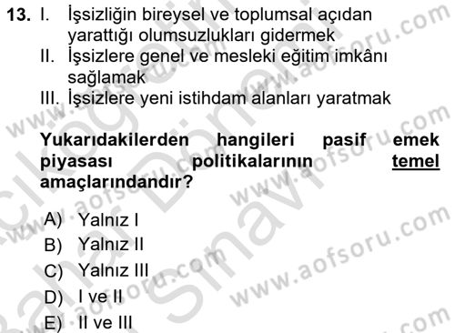 Çalışma Ekonomisi 2 Dersi 2015 - 2016 Yılı (Final) Dönem Sonu Sınav Soruları 13. Soru
