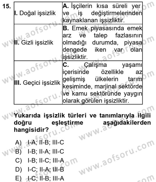 Çalışma Ekonomisi 2 Dersi 2015 - 2016 Yılı (Final) Dönem Sonu Sınav Soruları 15. Soru