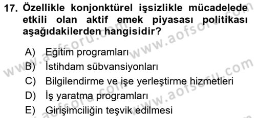 Çalışma Ekonomisi 2 Dersi 2015 - 2016 Yılı (Final) Dönem Sonu Sınav Soruları 17. Soru