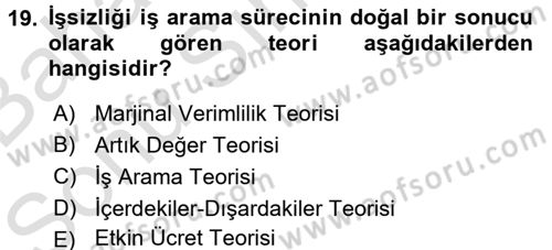 Çalışma Ekonomisi 2 Dersi 2015 - 2016 Yılı (Final) Dönem Sonu Sınav Soruları 19. Soru
