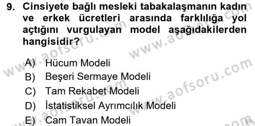 Çalışma Ekonomisi 2 Dersi 2015 - 2016 Yılı (Final) Dönem Sonu Sınav Soruları 9. Soru