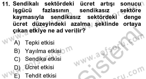 Çalışma Ekonomisi 2 Dersi 2016 - 2017 Yılı (Vize) Ara Sınav Soruları 11. Soru