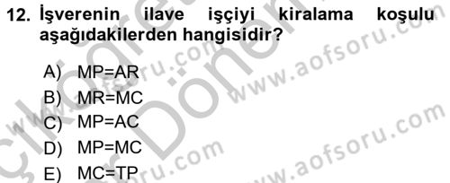 Çalışma Ekonomisi 2 Dersi 2016 - 2017 Yılı (Vize) Ara Sınav Soruları 12. Soru