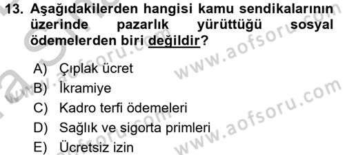 Çalışma Ekonomisi 2 Dersi 2016 - 2017 Yılı (Vize) Ara Sınav Soruları 13. Soru