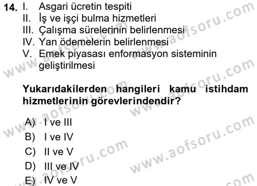 Çalışma Ekonomisi 2 Dersi 2016 - 2017 Yılı (Vize) Ara Sınav Soruları 14. Soru