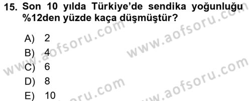 Çalışma Ekonomisi 2 Dersi 2016 - 2017 Yılı (Vize) Ara Sınav Soruları 15. Soru