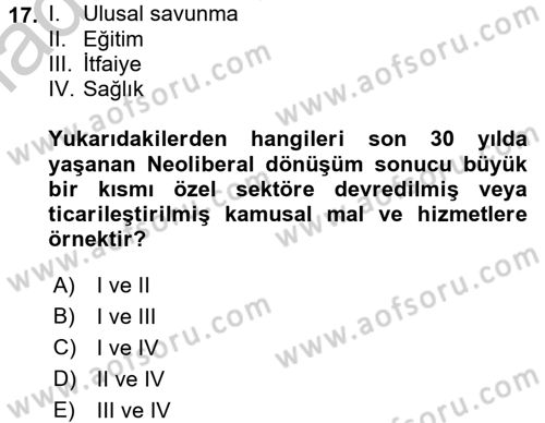 Çalışma Ekonomisi 2 Dersi 2016 - 2017 Yılı (Vize) Ara Sınav Soruları 17. Soru
