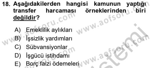 Çalışma Ekonomisi 2 Dersi 2016 - 2017 Yılı (Vize) Ara Sınav Soruları 18. Soru