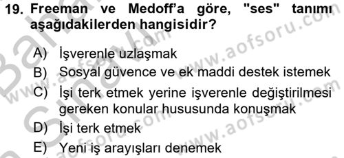 Çalışma Ekonomisi 2 Dersi 2016 - 2017 Yılı (Vize) Ara Sınav Soruları 19. Soru