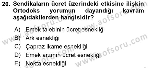 Çalışma Ekonomisi 2 Dersi 2016 - 2017 Yılı (Vize) Ara Sınav Soruları 20. Soru