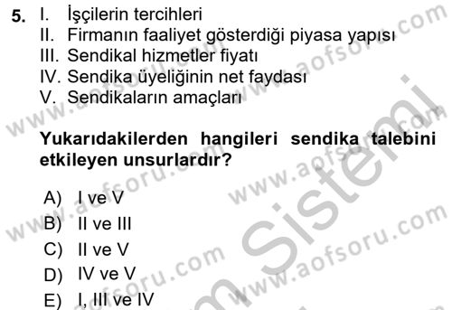 Çalışma Ekonomisi 2 Dersi 2016 - 2017 Yılı (Vize) Ara Sınav Soruları 5. Soru