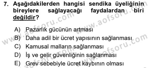 Çalışma Ekonomisi 2 Dersi 2016 - 2017 Yılı (Vize) Ara Sınav Soruları 7. Soru