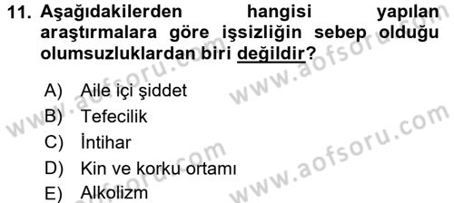 Çalışma Ekonomisi 2 Dersi 2016 - 2017 Yılı (Final) Dönem Sonu Sınav Soruları 11. Soru