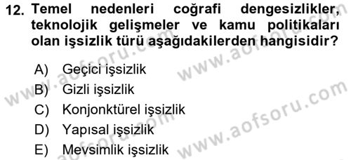 Çalışma Ekonomisi 2 Dersi 2016 - 2017 Yılı (Final) Dönem Sonu Sınav Soruları 12. Soru
