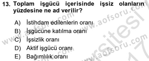 Çalışma Ekonomisi 2 Dersi 2016 - 2017 Yılı (Final) Dönem Sonu Sınav Soruları 13. Soru
