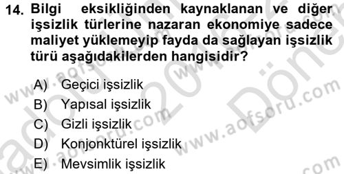 Çalışma Ekonomisi 2 Dersi 2016 - 2017 Yılı (Final) Dönem Sonu Sınav Soruları 14. Soru