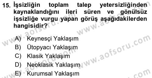 Çalışma Ekonomisi 2 Dersi 2016 - 2017 Yılı (Final) Dönem Sonu Sınav Soruları 15. Soru